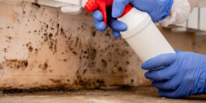 How Long Does Mold Remediation Take - Supreme Air Duct Cleaning Austin