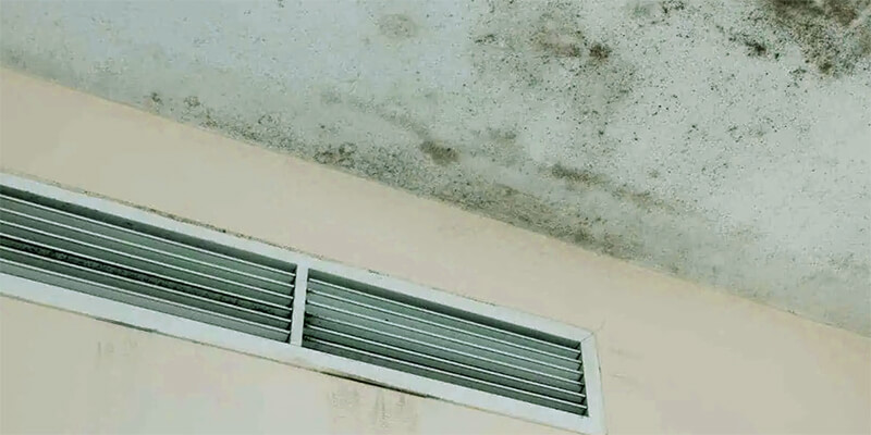 black mold on air vents - Supreme Air Duct Cleaning Austin